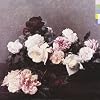 Power Corruption & Lies (Coll)