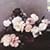 Power, Corruption & Lies