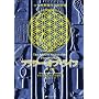 フラワー・オブ・ライフ―古代神聖幾何学の秘密〈第2巻〉