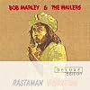 Rastaman Vibration (Dlx)