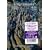 �j�[���E�A���h�E�W���b�N�E�A���h�E�~�[ [DVD]