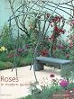 Roses in Modern Gardens