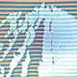 Outmind (BFCD019)