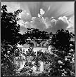 Bruce Davidson: Outside Inside :Journey of Consciousness