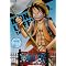 ONE PIECE 10th SEASON スリラーバーク篇
