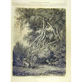 1863 �l�̖k�A�����J�̃C���h�̃I�I�J�~�̃I�I�J�~�̃t�����X�l�̈����