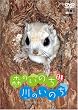 �V���t�H���X�gDVD �f���G�{ �X�̂��̂��E��̂��̂� SAVE THE FOREST