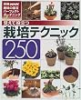 �o���Ė𗧂͔|�e�N�j�b�N250 (�ʍ�NHK��̉��|�\�p�[�t�F�N�g�K�[�f�j���O)