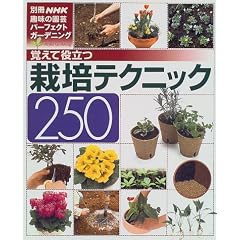 �o���Ė𗧂͔|�e�N�j�b�N250 (�ʍ�NHK��̉��|�\�p�[�t�F�N�g�K�[�f�j���O)