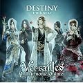 DESTINY -THE LOVERS-(��������B)(DVD�t)