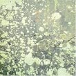 ��̍K +2 (���W���P�b�g�d�l)