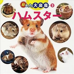 ���͂������}�Ӂq2�r�n���X�^�[ (���͂������}�� (2))