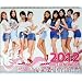 �������� 2012�N �唻 �Ǌ|�� �J�����_�[ (���{�j���d�l�j 24�y�[�W�@[amazon.co.jp ����� �^ �e�팈�ϑΉ�]