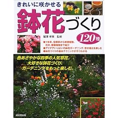 ���ꂢ�ɍ炩���锫�ԂÂ���120��\1�N���A�h�������狅���A���A�ϗt�A���܂�
