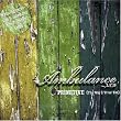 Primitive