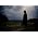 Nikolaus Harnoncourt �̃T���l�C���摜