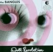 Doll Revolution