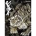 �V�O���C HALF-BOX �� �y���Ԍ��萶�Y�z [DVD]