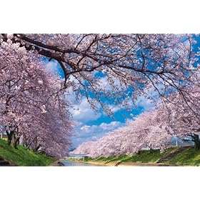 �l�G�̎� 1000�s�[�X ��ʍʂ�S�\�Y�� (50cm�~75cm�A�Ή��p�l��No.10)