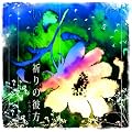 �F��̔ޕ� [�ʏ��]