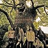 BLUESTONE co.