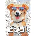 �r���S! [DVD]
