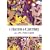 �J���^�x���[���� [DVD]
