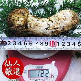 �z�n�����@������l���I�@�����i�}�c�^�P�j�Q�k�T�C�Y500g �H�̖��o�̉��l