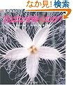 �Ԃ͂Ȃ��炭�̂�? (Nature Discovery Books)