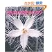 �Ԃ͂Ȃ��炭�̂�? (Nature Discovery Books)