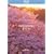 THE 5.1CH SURROUND virtual trip ������ nostalgia [Blu-ray]