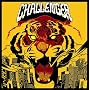 CHALLENGER+LIVE LIFE(DVD�t)