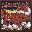 Torment In Fire