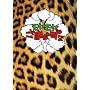 �����������܂�~��2 DVD-BOX(VOL.4�AVOL.5)