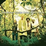 [CD]Derek Trucks Joyful Noise