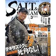 SALT & STREAM (�\���g�A���h�X�g���[��) 2009�N 03���� [�G��]