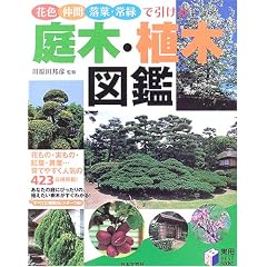��؁E�A�ؐ}�Ӂ\�ԐF�E���ԁE���t�E��΂ň����� (���pBEST BOOKS)