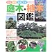 ��؁E�A�ؐ}�Ӂ\�ԐF�E���ԁE���t�E��΂ň����� (���pBEST BOOKS)