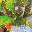 Rainforest