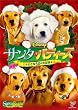 �T���^�E�o�f�B�[�Y ������5�C�̑�`�� [DVD]