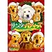 �T���^�E�o�f�B�[�Y ������5�C�̑�`�� [DVD]