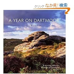 A Year on Dartmoor