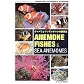 �N�}�m�~�ƃC�\�M���`���N�̎���@�\ANEMONEFISHES & SEA ANEMONE (�}�����A�N�A���E���K�C�h�V���[�Y)