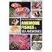 �N�}�m�~�ƃC�\�M���`���N�̎���@�\ANEMONEFISHES & SEA ANEMONE (�}�����A�N�A���E���K�C�h�V���[�Y)
