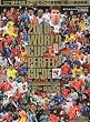 2010 WORLD CUP PERFECT GUIDE ��A�t���J�E���[���h�J�b�v���S�K�C�h 2010�N 4/5�� [�G��]
