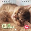 2011 �v�`CALENDAR �ɂ��(2011 �v�`�J�����_�[ �ɂ��)