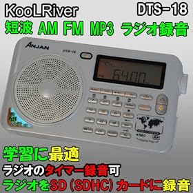 DTS-18 ���w�K�ɍœK���^�C�}�[�^�����`�l�^�e�l�^�Z�g���W�I��SD�J�[�h�ɘ^�����l�o�R�Đ��Ή� /���n���p(�{�̐F�F�z���C�g)