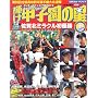 �P���b�q���̐� 2007�I�茠�� (2007) (NIKKAN SPORTS GRAPH)