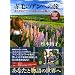�Ԗт̃A���ւ̗��\��������̃v�����X�G�h���[�h���� (NHK�o��DVD+BOOK)