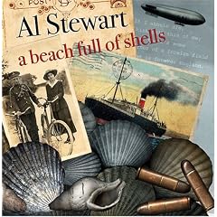 Beach Full of Shells